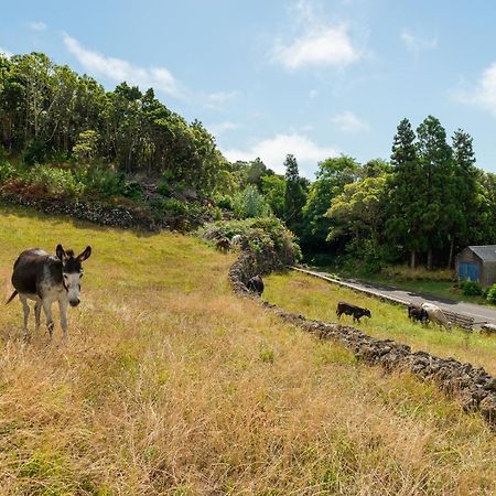 Casa Da Figueirinha Villa Calheta de Nesquim Bagian luar foto