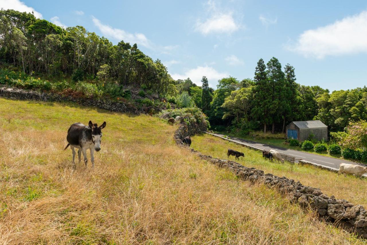 Casa Da Figueirinha Villa Calheta de Nesquim Bagian luar foto